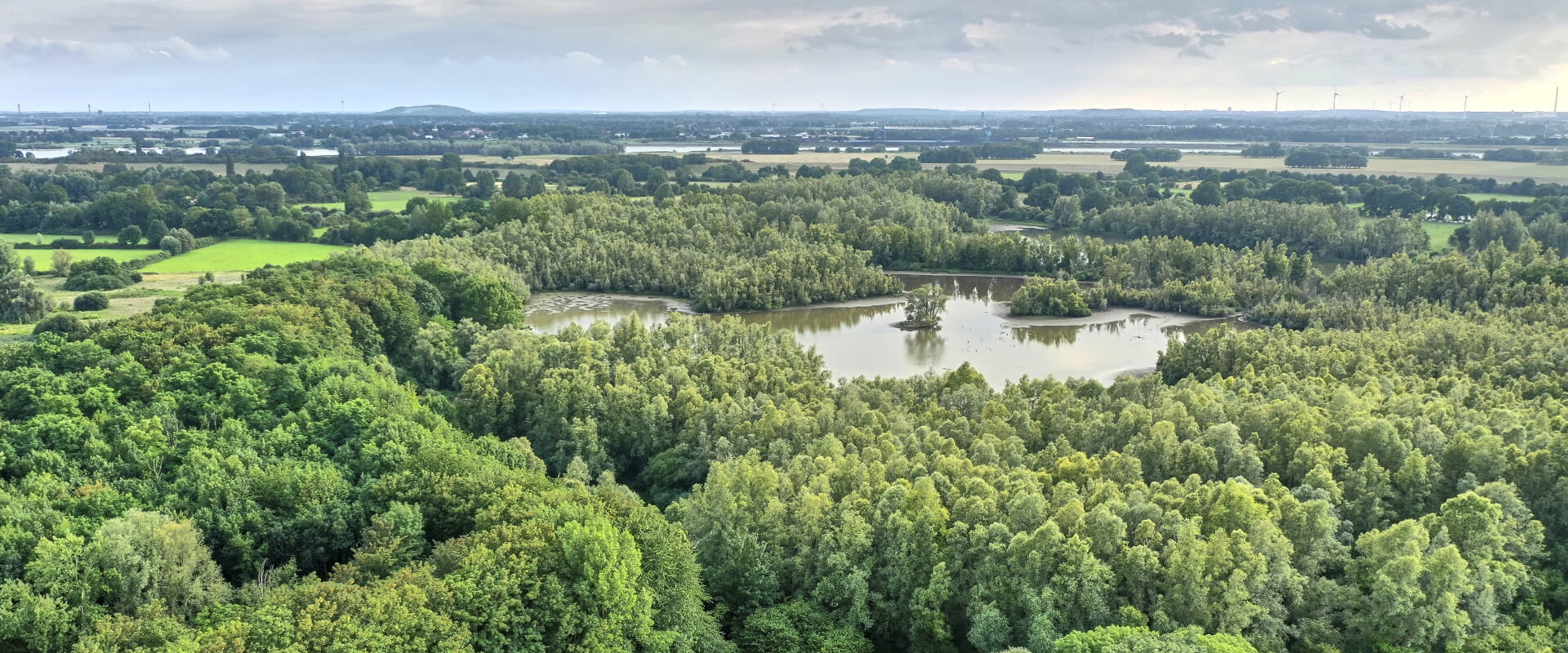 Luftbild der Rheinaue Walsum im Juli