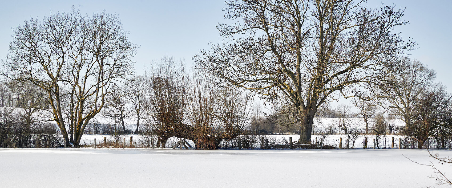 Rheinaue Walsum im Winter