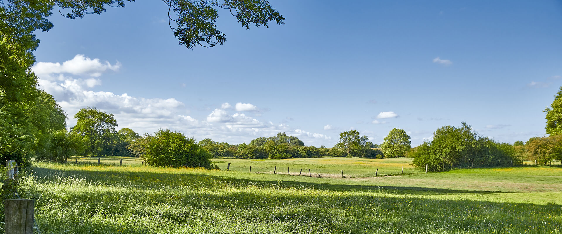 Rheinaue Walsum im Mai