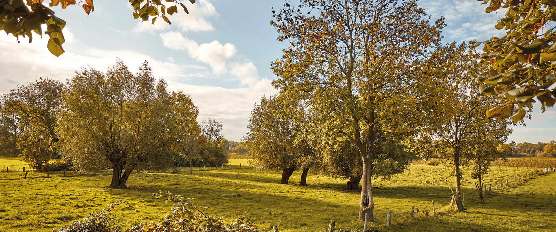 Rheinaue Walsum im Herbst