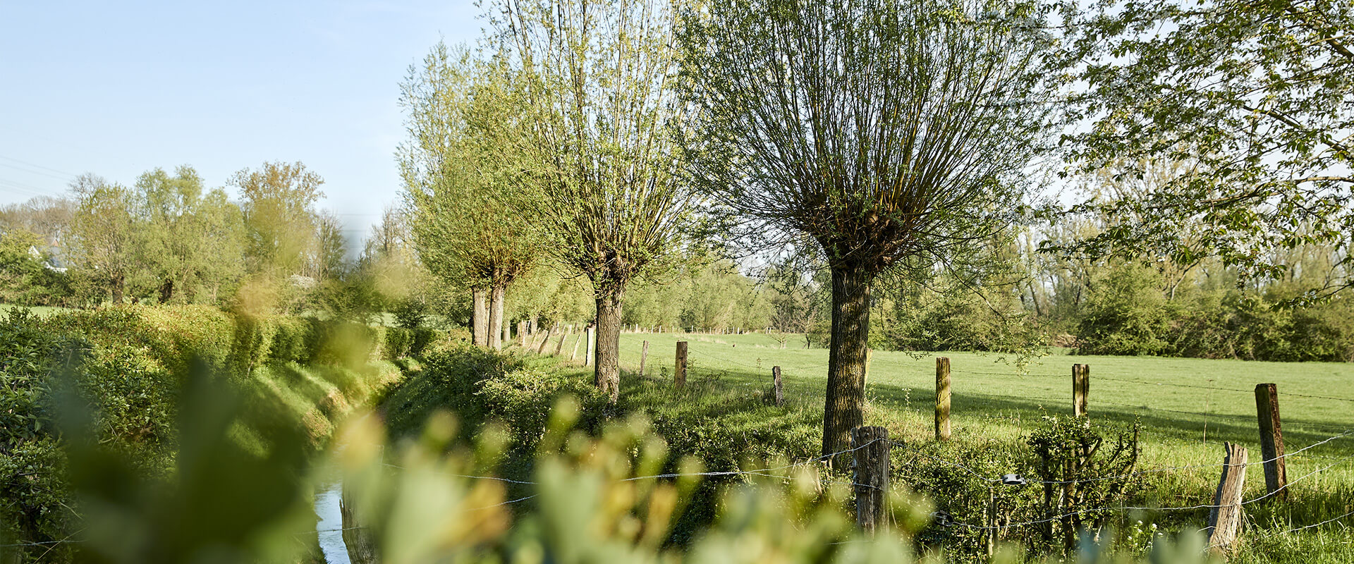 Rheinaue Walsum im April