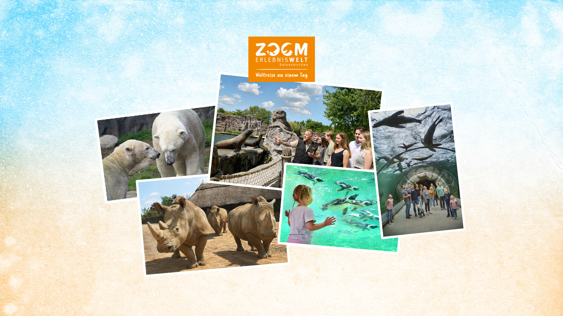 Collage mit Bildern von Eisbären, Nashörnern, Seehunden und Pinguinen beobachtet von Kindern, Jugendlichen und Erwachsene