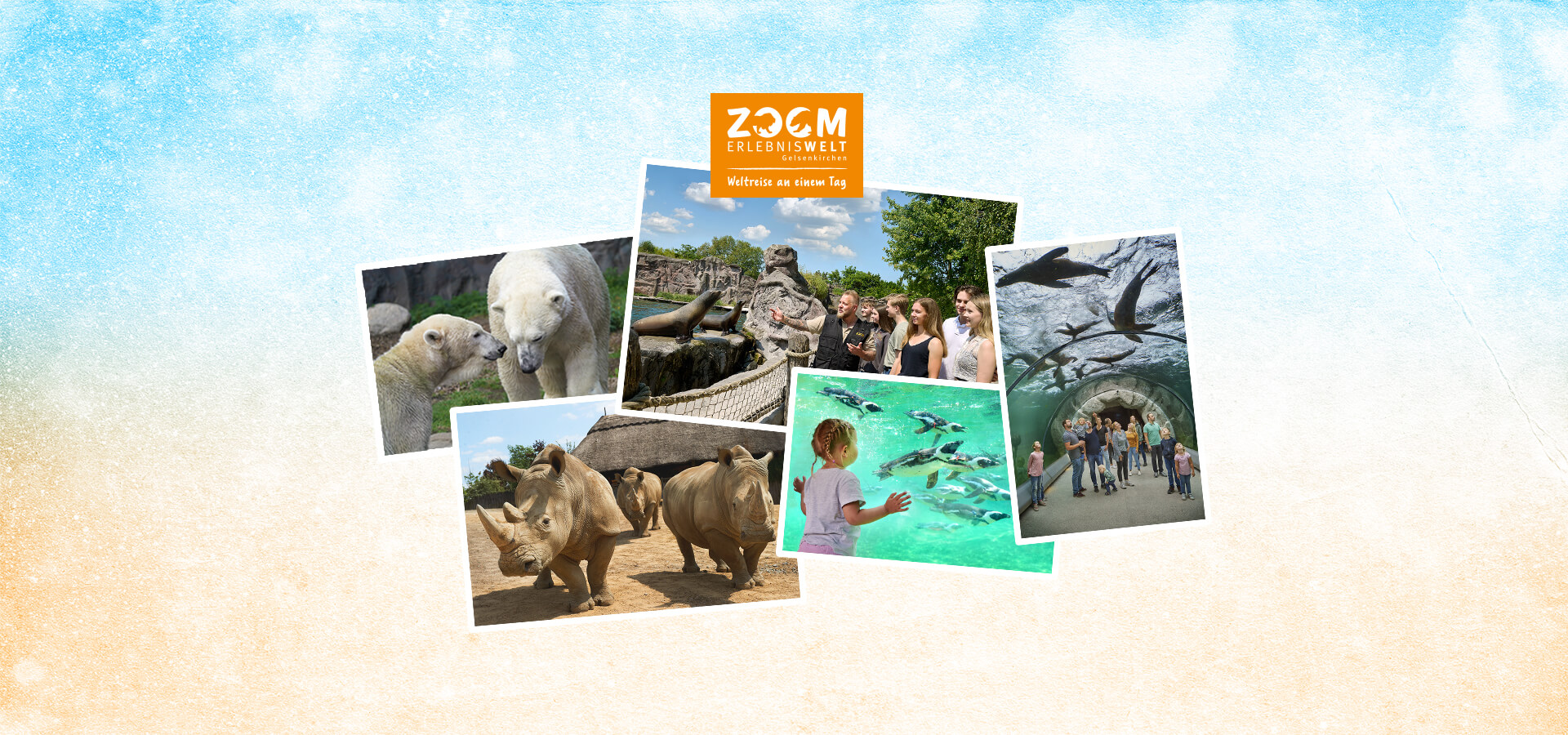 Collage mit Bildern von Eisbären, Nashörnern, Seehunden und Pinguinen beobachtet von Kindern, Jugendlichen und Erwachsene